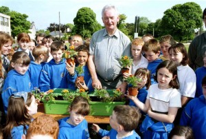 udc-florale-01-teaching-students-to-plant-window-boxes