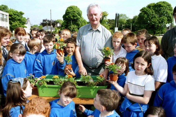 udc-florale-01-teaching-students-to-plant-window-boxes