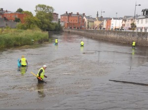 River-Fergus-Clean-Up-8
