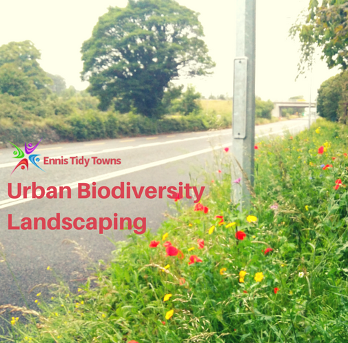 Biodiversity-Led Urban Landscaping