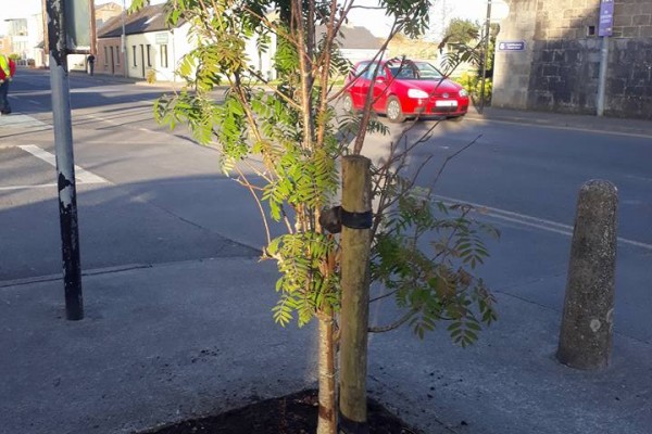 Green Areas in Ennis