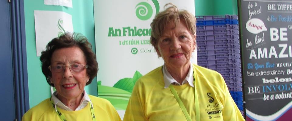 Green Fleadh Volunteers