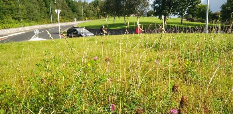 Urban Biodiversity Landscaping