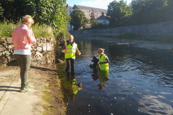 River Fergus Clean up 2018