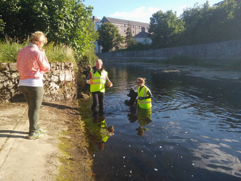 River Fergus Clean up 2018