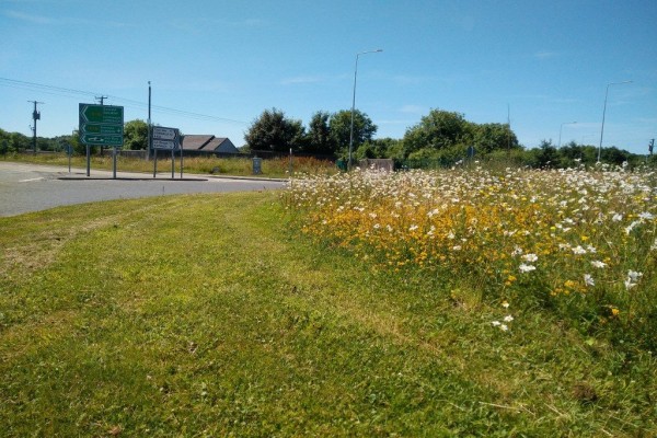 Pollinator Areas Roundabout