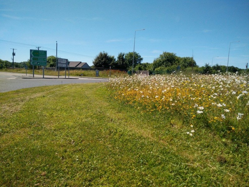 Pollinator Areas Roundabout