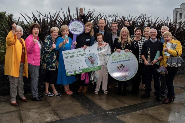 Wins for Ennis at 2019 Tidy Town Awards